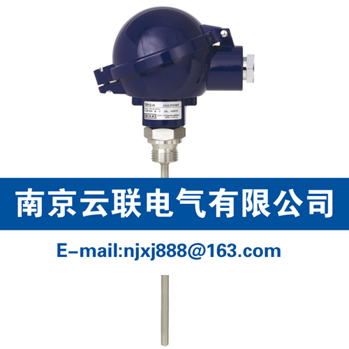 WIKA TC10-H 熱電偶溫度計(jì) 不帶護(hù)套