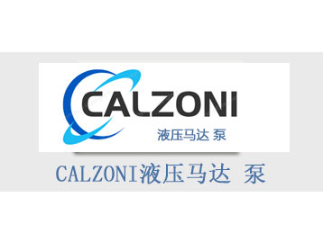 意大利CALZONI液壓馬達 泵